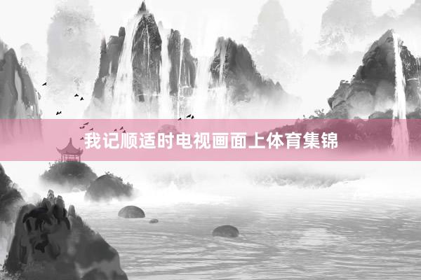 我记顺适时电视画面上体育集锦