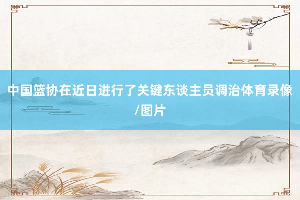 中国篮协在近日进行了关键东谈主员调治体育录像/图片
