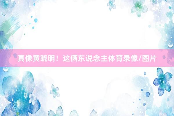 真像黄晓明！这俩东说念主体育录像/图片