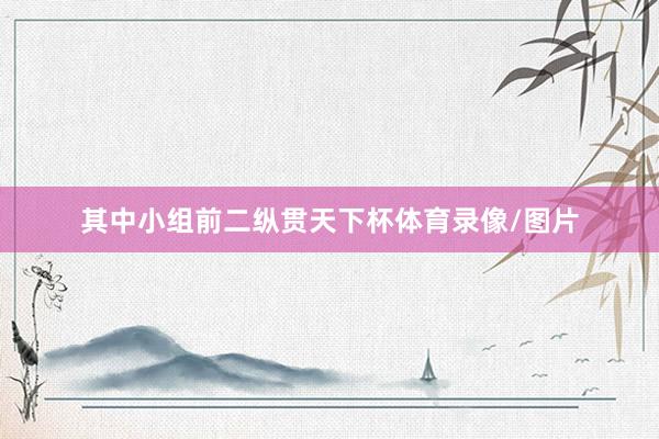 其中小组前二纵贯天下杯体育录像/图片