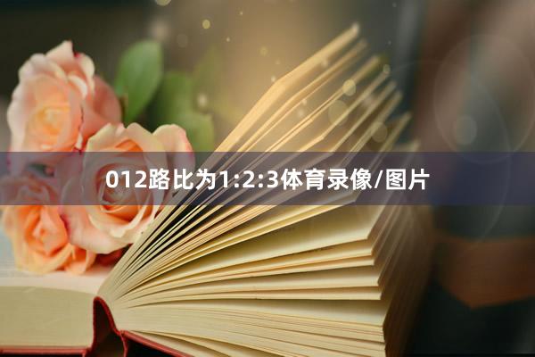 012路比为1:2:3体育录像/图片