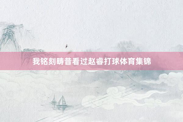 我铭刻畴昔看过赵睿打球体育集锦