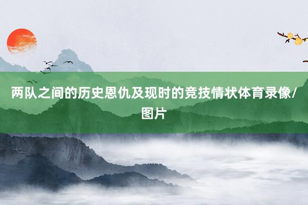 两队之间的历史恩仇及现时的竞技情状体育录像/图片