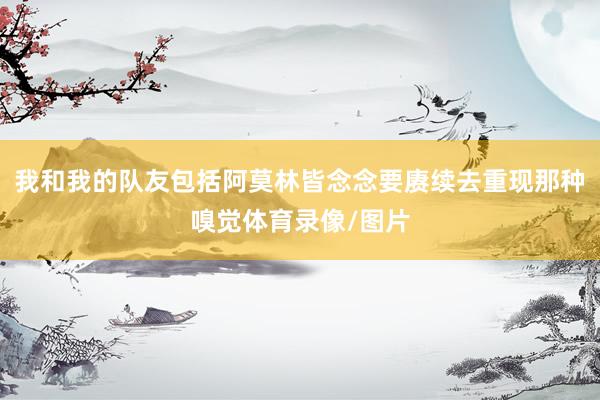 我和我的队友包括阿莫林皆念念要赓续去重现那种嗅觉体育录像/图片