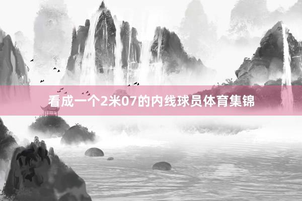 看成一个2米07的内线球员体育集锦
