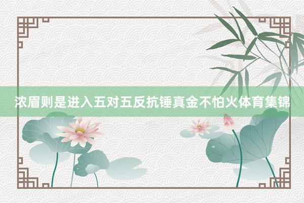 浓眉则是进入五对五反抗锤真金不怕火体育集锦