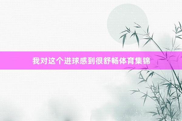 我对这个进球感到很舒畅体育集锦