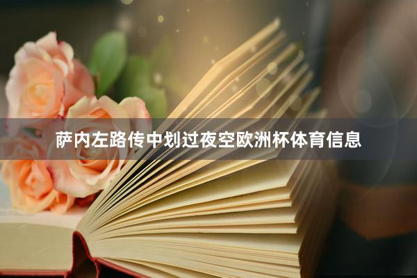 萨内左路传中划过夜空欧洲杯体育信息
