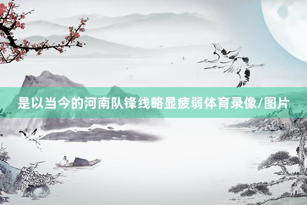 是以当今的河南队锋线略显疲弱体育录像/图片