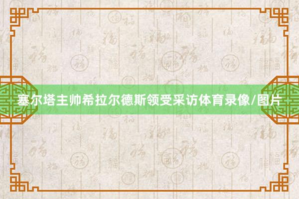 塞尔塔主帅希拉尔德斯领受采访体育录像/图片