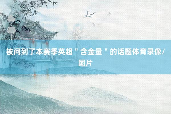 被问到了本赛季英超＂含金量＂的话题体育录像/图片