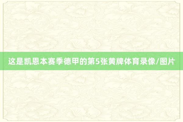 这是凯恩本赛季德甲的第5张黄牌体育录像/图片