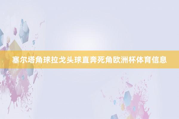 塞尔塔角球拉戈头球直奔死角欧洲杯体育信息