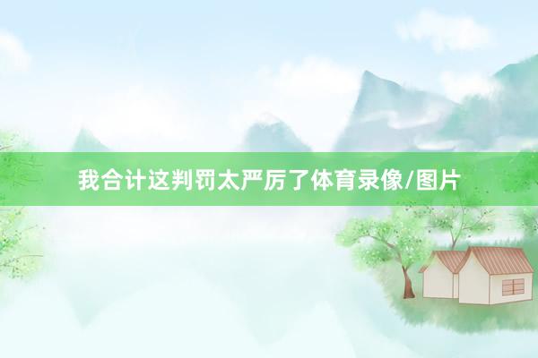 我合计这判罚太严厉了体育录像/图片