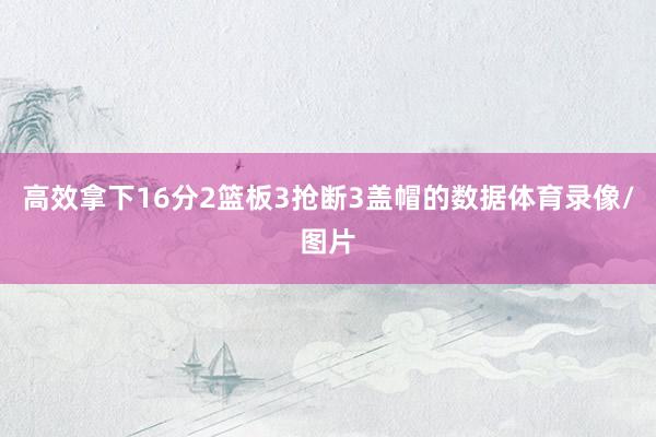 高效拿下16分2篮板3抢断3盖帽的数据体育录像/图片