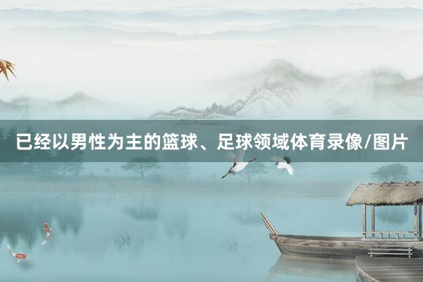 已经以男性为主的篮球、足球领域体育录像/图片