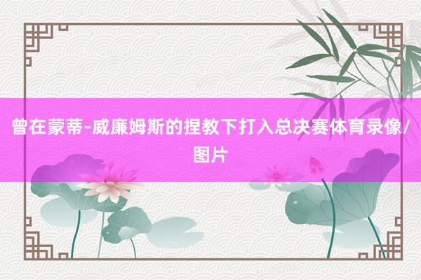 曾在蒙蒂-威廉姆斯的捏教下打入总决赛体育录像/图片