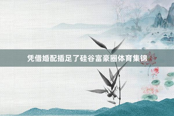 凭借婚配插足了硅谷富豪圈体育集锦