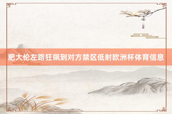 肥大伦左路狂飙到对方禁区低射欧洲杯体育信息