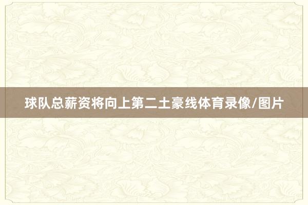 球队总薪资将向上第二土豪线体育录像/图片