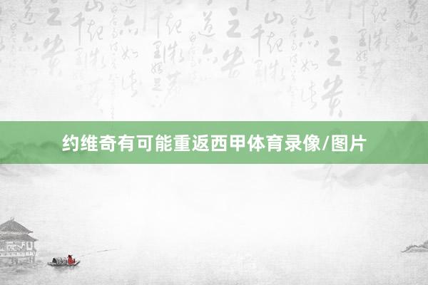 约维奇有可能重返西甲体育录像/图片