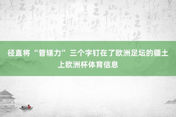 径直将 “管辖力” 三个字钉在了欧洲足坛的疆土上欧洲杯体育信息