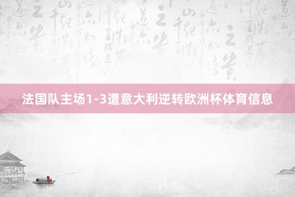 法国队主场1-3遭意大利逆转欧洲杯体育信息