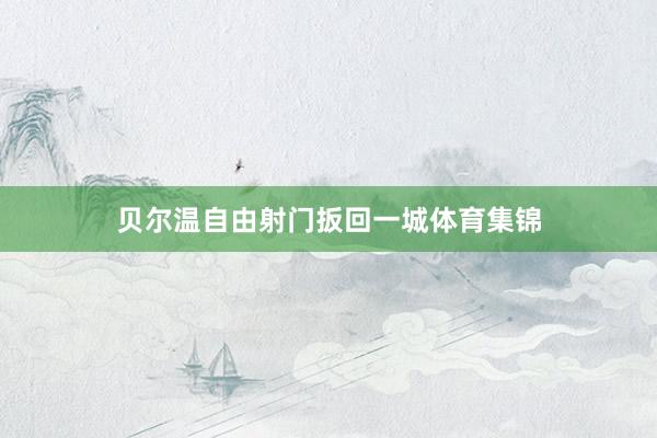 贝尔温自由射门扳回一城体育集锦