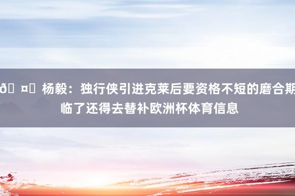 🤔杨毅：独行侠引进克莱后要资格不短的磨合期 临了还得去替补欧洲杯体育信息