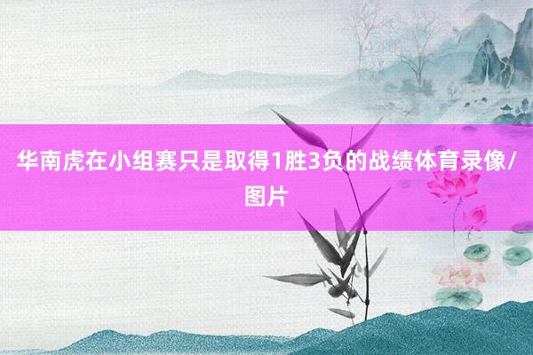 华南虎在小组赛只是取得1胜3负的战绩体育录像/图片