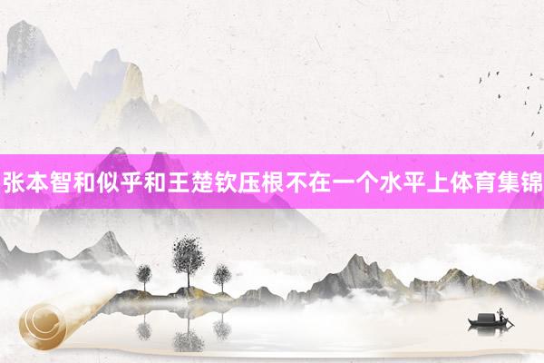 张本智和似乎和王楚钦压根不在一个水平上体育集锦
