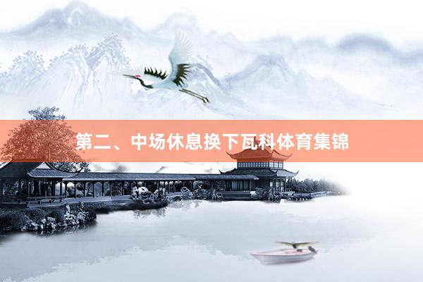 第二、中场休息换下瓦科体育集锦