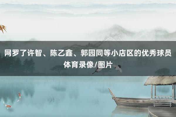 网罗了许智、陈乙鑫、郭园同等小店区的优秀球员体育录像/图片
