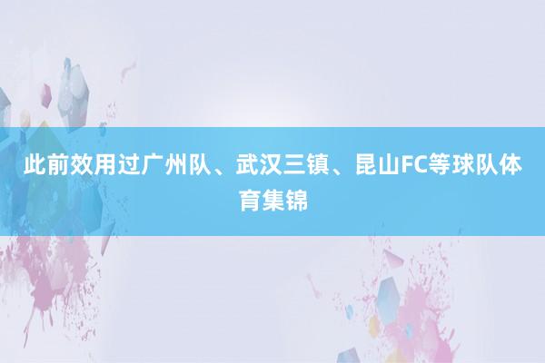 此前效用过广州队、武汉三镇、昆山FC等球队体育集锦