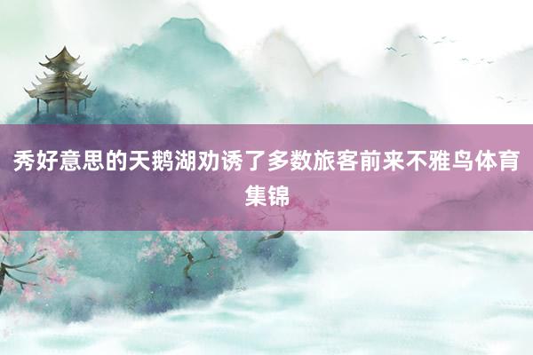 秀好意思的天鹅湖劝诱了多数旅客前来不雅鸟体育集锦