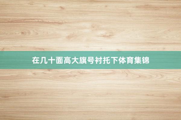 在几十面高大旗号衬托下体育集锦