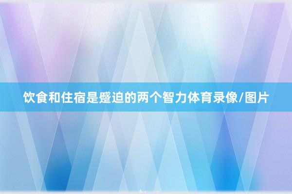 饮食和住宿是蹙迫的两个智力体育录像/图片