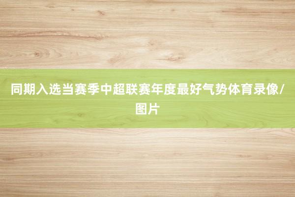 同期入选当赛季中超联赛年度最好气势体育录像/图片