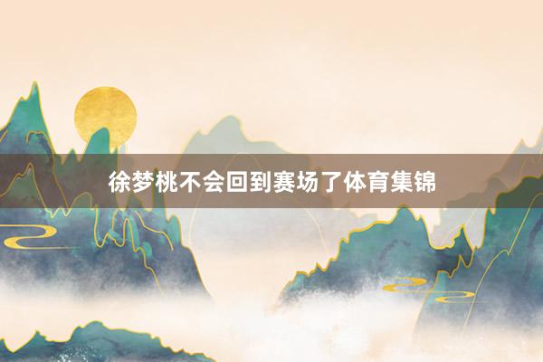徐梦桃不会回到赛场了体育集锦
