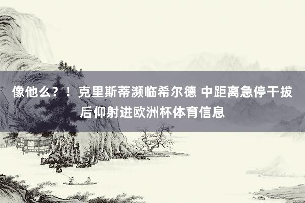 像他么？！克里斯蒂濒临希尔德 中距离急停干拔后仰射进欧洲杯体育信息