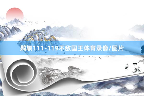 鹈鹕111-119不敌国王体育录像/图片