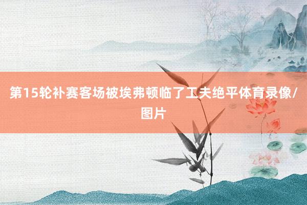 第15轮补赛客场被埃弗顿临了工夫绝平体育录像/图片